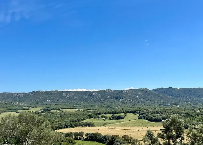Bergerie De Charme, Piscine Chauffee, Vue Nature Entre Et Montagne, * Sotta
